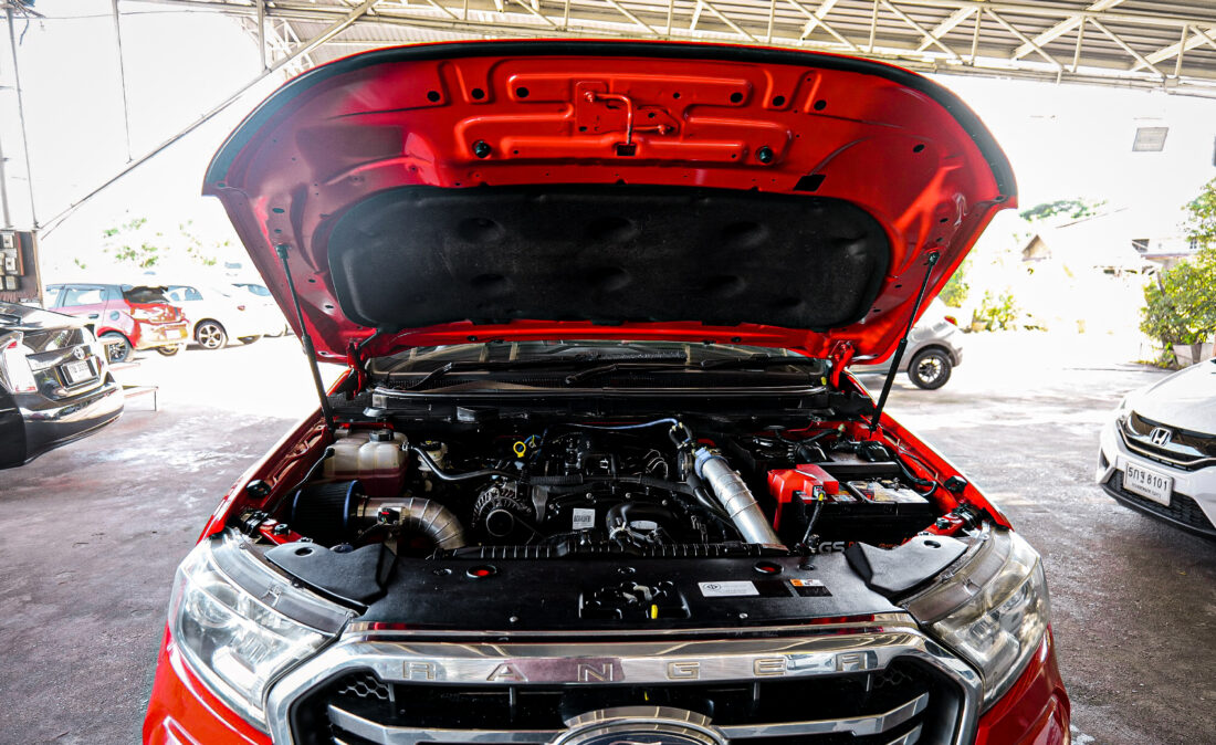 P1482588
